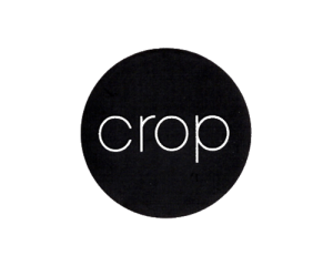 Crop (500x400)